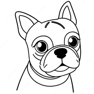 Boston Terrier Inkleurbladsye