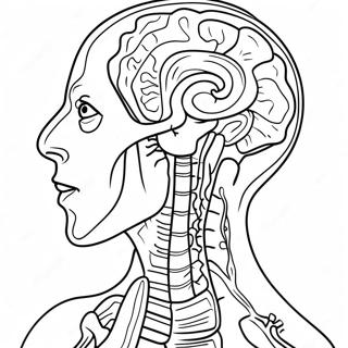 Anatomie En Fisiologie Inkleurbladsye