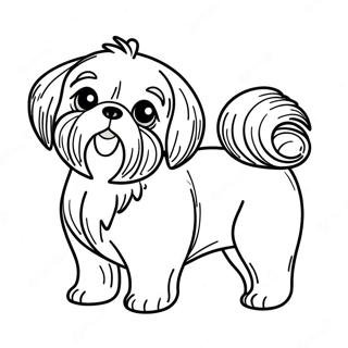 Shih Tzu Inkleurblad 112700-48780