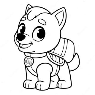 Ryder Paw Patrol Inkleurblad 114631-50399