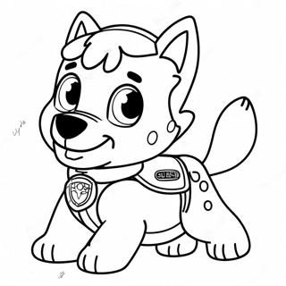 Rocky Paw Patrol Inkleurblad 116387-51758