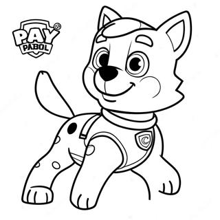 Rocky Paw Patrol Inkleurblad 116387-51921