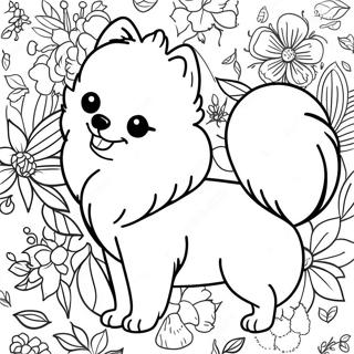 Pomeranian Inkleurblad 118573-53722