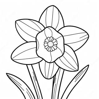 Narcissus Inkleurblad 120655-55346