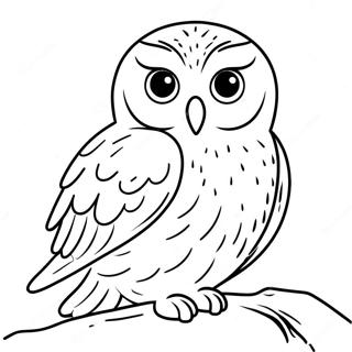 Charmante Sneeuwuil Inkleurblad 123432-57747