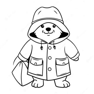 Paddington Inkleurbladsye