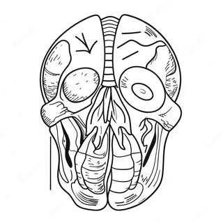 Anatomie Inkleurblad 69119-15128