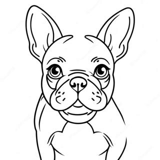 Franse Bulldog Inkleurbladsye