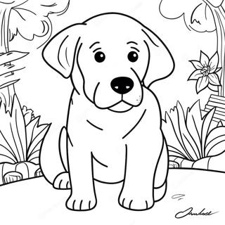 Labrador Inkleurblad 81981-23576