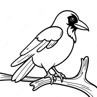 Realistiese Kraaivogel Wat Op N Tak Sit Inkleurblad 84420-25520