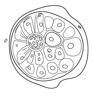 Plant Sel Inkleurbladsye