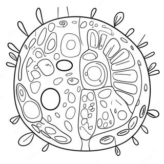 Plant Sel Diagram Inkleurblad 92194-31882