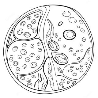 Plant Sel Diagram Inkleurblad 92194-31884