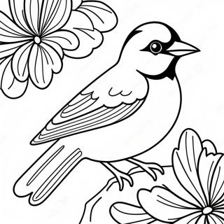 Orioles Met Helder Vere Inkleurblad 99397 38224